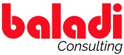 Baladi Consulting_33 1